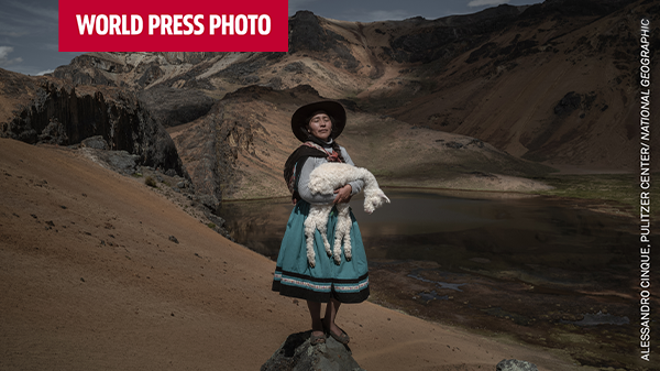 Word Press Photo exhibition, photo of a girl holding an alpaca in her arms